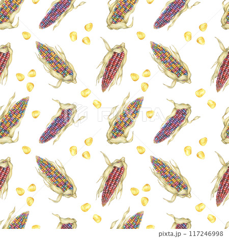 Heirloom Indian corn seamless pattern, rainbow cobs textile, multicolored maize background. Watercolor print for kitchen, clothes, wallpaper, wrapping paper, scrapbooking, food packaging, Thanksgiving 117246998