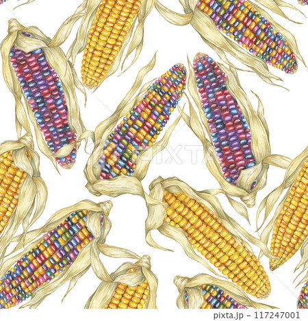 Indian heirloom and Yellow sweetcorn seamless pattern, cobs textile, dense complex background. Watercolor print for clothes, wallpaper, wrapping paper, scrapbooking, food packaging, Thanksgiving 117247001