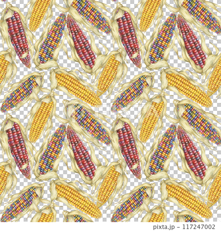 Indian heirloom and Yellow sweetcorn seamless pattern, cobs textile, dense complex background. Watercolor print for clothes, wallpaper, wrapping paper, scrapbooking, food packaging, Thanksgiving Indian heirloom and Yellow sweetcorn seamless pattern, cobs textile, dense complex background. Watercolor print for clothes, wallpaper, wrapping paper, scrapbooking, food packaging, Thanksgiving 117247002