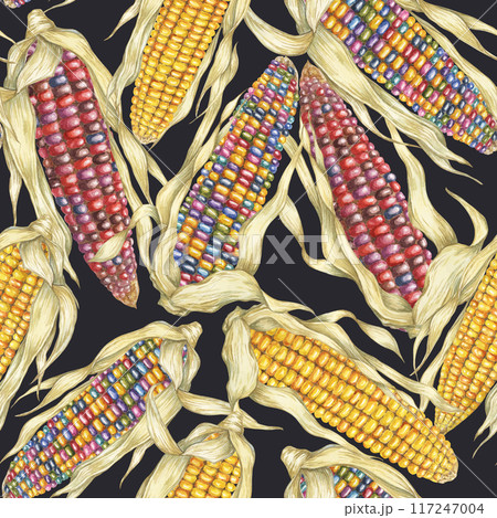 Indian heirloom and Yellow sweetcorn seamless pattern, cobs textile, dense complex background. Watercolor print for clothes, wallpaper, wrapping paper, scrapbooking, food packaging, Thanksgiving Indian heirloom and Yellow sweetcorn seamless pattern, cobs textile, dense complex background. Watercolor print for clothes, wallpaper, wrapping paper, scrapbooking, food packaging, Thanksgiving 117247004