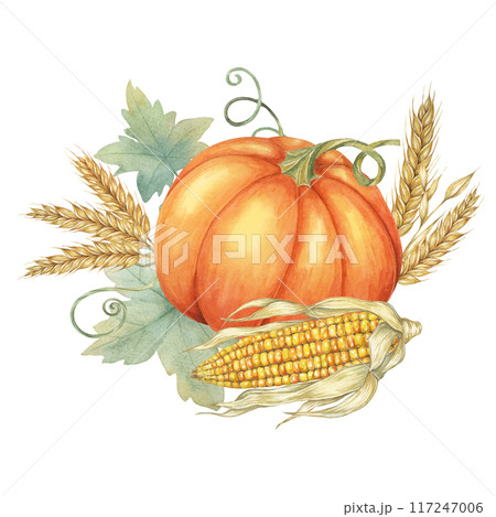 Orange pumpkin surrounded by golden corn cobs and wheat sheaves with intertwined green leaves. Clipart for decorating fall-themed invitations, seasonal product packaging, and holiday banners Orange pumpkin surrounded by golden corn cobs and wheat sheaves with intertwined green leaves. Clipart for decorating fall-themed invitations, seasonal product packaging, and holiday banners 117247006