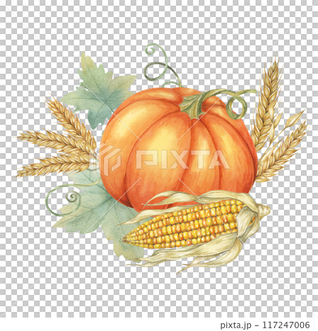 Orange pumpkin surrounded by golden corn cobs and wheat sheaves with intertwined green leaves. Clipart for decorating fall-themed invitations, seasonal product packaging, and holiday banners Orange pumpkin surrounded by golden corn cobs and wheat sheaves with intertwined green leaves. Clipart for decorating fall-themed invitations, seasonal product packaging, and holiday banners 117247006