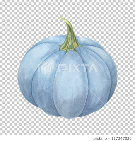 Blue pumpkin watercolor illustration. Pastel colored autumn vegetable. Squash clipart for seasonal modern decor, Thanksgiving cards and invitations, festive merchandise and social media, scrapbooking 117247026