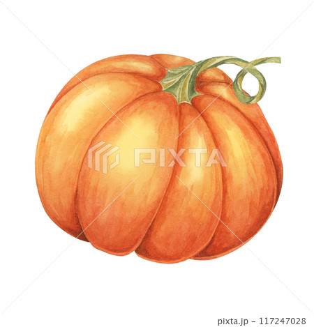 Orange pumpkin watercolor illustration. Bright autumn vegetable. Squash clipart for seasonal cottagecore decor, Thanksgiving cards and invitations, festive merchandise and social media, scrapbooking Orange pumpkin watercolor illustration. Bright autumn vegetable. Squash clipart for seasonal cottagecore decor, Thanksgiving cards and invitations, festive merchandise and social media, scrapbooking 117247028