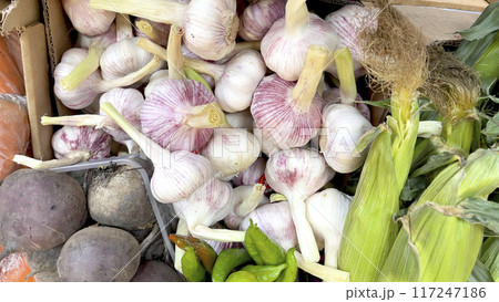 Garlic heads with vegetables. Food and harvest, market. Healthy eating. Garlic heads with vegetables. Food and harvest, market. Healthy eating. 117247186