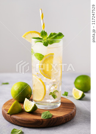 Mojito drink with fresh lemons. Refreshing cocktail with lime, mint and ice on gray background 117247529