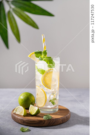 Mojito drink with fresh lemons. Refreshing cocktail with lemon, mint and ice on gray background Mojito drink with fresh lemons. Refreshing cocktail with lemon, mint and ice on gray background 117247530