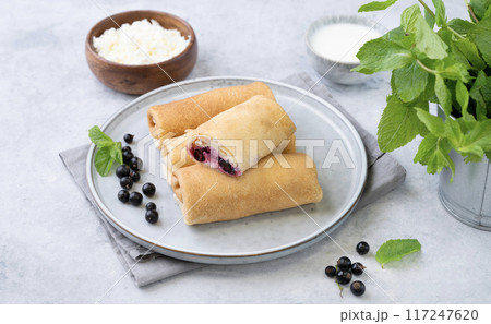 Homemade crepes with black currant and a cottage cheese on a plate on a blue background. 117247620