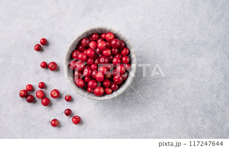 juicy forest lingonberry in a bowl on light textured background. Healthy food concept. juicy forest lingonberry in a bowl on light textured background. Healthy food concept. 117247644
