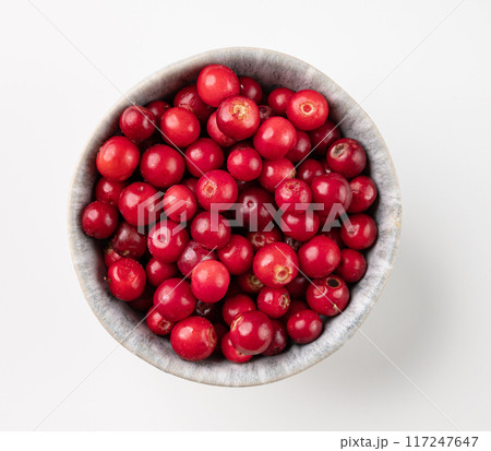 Juicy forest lingonberry in a  bowl on a white isolated background. Healthy food concept. 117247647
