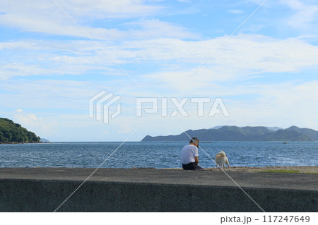 岸壁に散歩をする男性と犬 岸壁に散歩をする男性と犬 117247649
