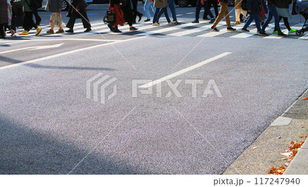 東京都内で横断歩道を渡る人々の風景 東京都内で横断歩道を渡る人々の風景 117247940