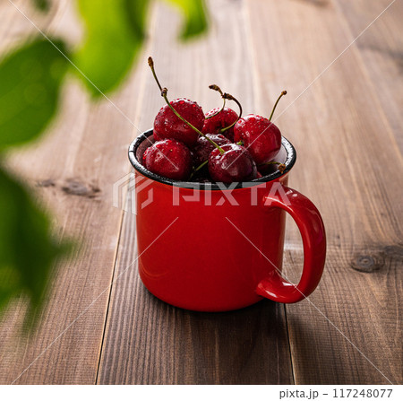 Juicy wet cherries in a red mug on a dark wooden background with leaves close up  117248077