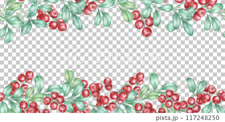 Cranberry seamless border watercolor clipart with an elegant design of red berry clusters and green leaves. Perfect for botanical prints, event invitations, or seasonal merchandise branding 117248250
