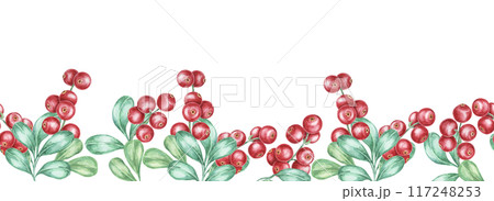 Cranberry, lingonberry seamless border watercolor clipart showcasing red berries paired with detailed green leaves. Ideal for use in seasonal brochures, kitchen decor, or handmade card designs 117248253