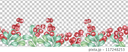 Cranberry, lingonberry seamless border watercolor clipart showcasing red berries paired with detailed green leaves. Ideal for use in seasonal brochures, kitchen decor, or handmade card designs 117248253