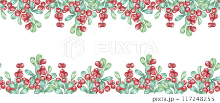 Cranberry seamless border watercolor clipart depicting an abundant pattern of red berries interwoven with green leaves. Perfect for use in holiday invitations, product labels, or digital scrapbooking. 117248255