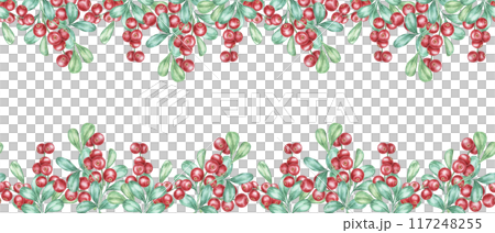 Cranberry seamless border watercolor clipart depicting an abundant pattern of red berries interwoven with green leaves. Perfect for use in holiday invitations, product labels, or digital scrapbooking. 117248255