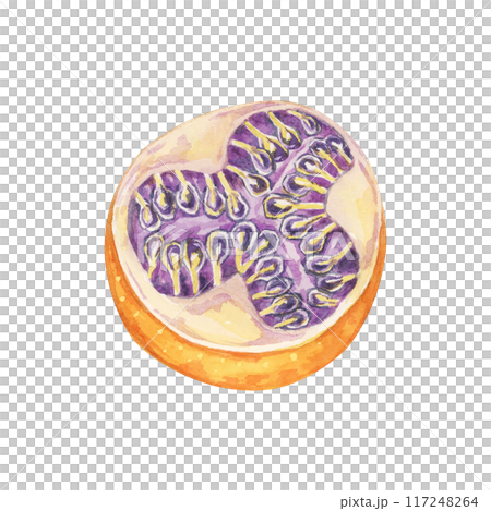 Halved orange sweet granadilla. Yellow passion fruit half with seeds watercolor illustration. Maracuja clipart perfect for recipe books, food blogs, or organic product branding. Halved orange sweet granadilla. Yellow passion fruit half with seeds watercolor illustration. Maracuja clipart perfect for recipe books, food blogs, or organic product branding. 117248264