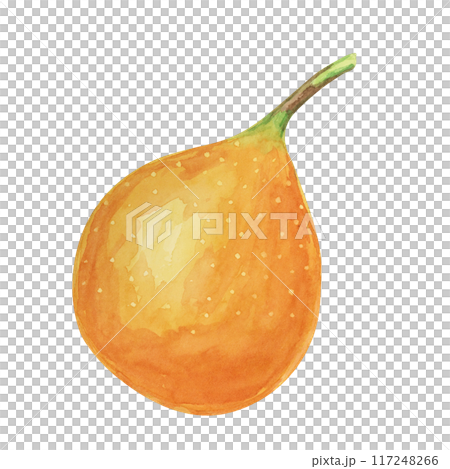 Whole orange sweet granadilla. Yellow passion fruit watercolor illustration. Maracuja clipart perfect for botanical illustrations, natural product packaging, or tropical-themed designs. 117248266