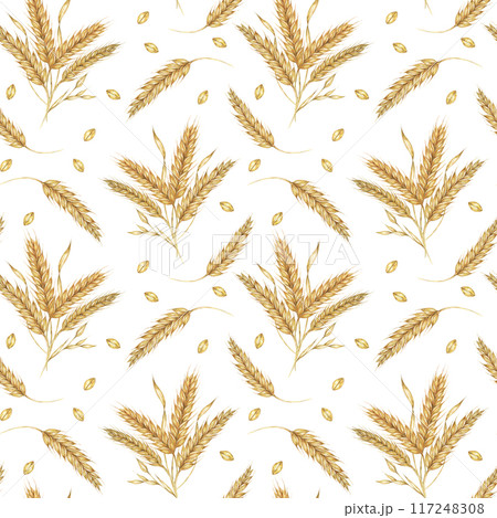 Wheat or barley golden cereal spikes backdrop for Thanksgiving, bakery, Shavuot. Seamless watercolor for fabric designs, nature-themed packaging, eco-conscious branding, and rustic home decor projects Wheat or barley golden cereal spikes backdrop for Thanksgiving, bakery, Shavuot. Seamless watercolor for fabric designs, nature-themed packaging, eco-conscious branding, and rustic home decor projects 117248308