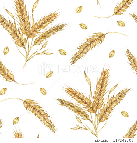 Clusters of golden Barley or Wheat ears. Watercolor seamless pattern for autumn-themed textiles, rustic wallpaper, eco-friendly product packaging, and organic branding materials, Shavuot, thanksgiving Clusters of golden Barley or Wheat ears. Watercolor seamless pattern for autumn-themed textiles, rustic wallpaper, eco-friendly product packaging, and organic branding materials, Shavuot, thanksgiving 117248309