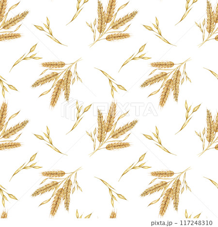 Wheat or barley golden cereal spikes backdrop for Thanksgiving, bakery, Shavuot. Seamless watercolor for fabric designs, nature-themed packaging, eco-conscious branding, and rustic home decor projects Wheat or barley golden cereal spikes backdrop for Thanksgiving, bakery, Shavuot. Seamless watercolor for fabric designs, nature-themed packaging, eco-conscious branding, and rustic home decor projects 117248310