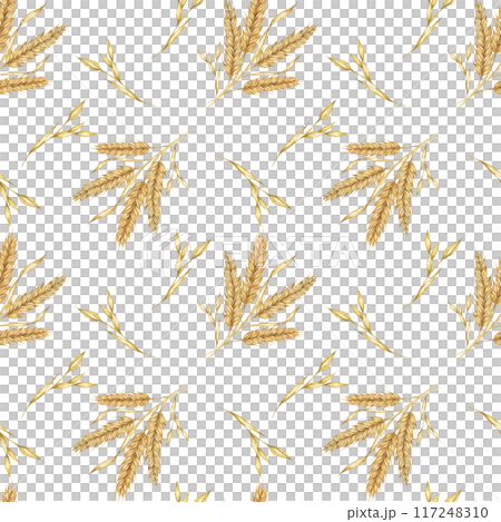 Wheat or barley golden cereal spikes backdrop for Thanksgiving, bakery, Shavuot. Seamless watercolor for fabric designs, nature-themed packaging, eco-conscious branding, and rustic home decor projects Wheat or barley golden cereal spikes backdrop for Thanksgiving, bakery, Shavuot. Seamless watercolor for fabric designs, nature-themed packaging, eco-conscious branding, and rustic home decor projects 117248310