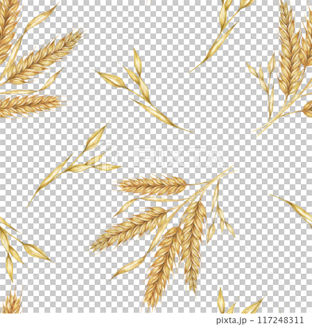 Golden wheat or barley spikes background. Watercolor seamless pattern Perfect for textile design, rustic-themed packaging, eco-friendly branding, and nature-inspired wallpapers and stationery 117248311