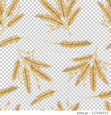 Clusters of golden Barley or Wheat ears. Watercolor seamless pattern for autumn-themed textiles, rustic wallpaper, eco-friendly product packaging, and organic branding materials, Shavuot, thanksgiving 117248313
