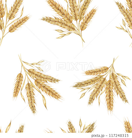 Golden wheat or barley spikes background. Watercolor seamless pattern Perfect for textile design, rustic-themed packaging, eco-friendly branding, and nature-inspired wallpapers and stationery 117248315