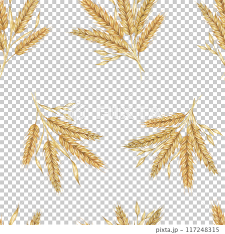 Golden wheat or barley spikes background. Watercolor seamless pattern Perfect for textile design, rustic-themed packaging, eco-friendly branding, and nature-inspired wallpapers and stationery 117248315