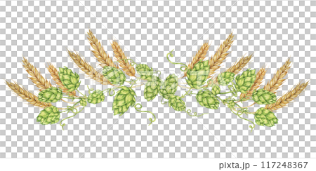 Hops and barley composition in watercolor. Green humulus lupulus cones and wheat ears arrangement, banner for Oktoberfest, St Patrick's day, beer labels, traditional festival clipart 117248367
