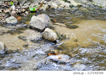 waterfall , river and rock or splash 117248399