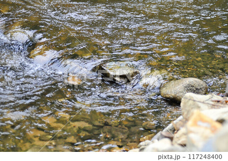 waterfall , river and rock or splash waterfall , river and rock or splash 117248400