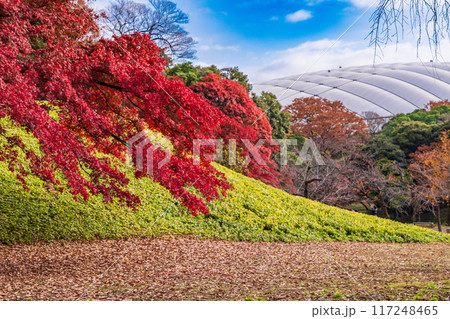 【東京都】小石川後楽園　紅葉 117248465