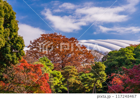 【東京都】小石川後楽園 紅葉 【東京都】小石川後楽園 紅葉 117248467