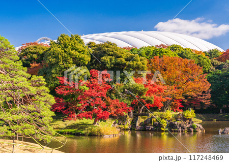 【東京都】小石川後楽園　紅葉 117248469