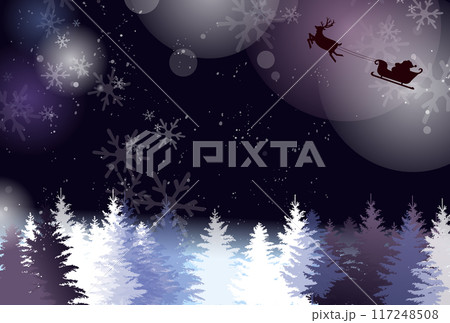 クリスマスの夜の針葉樹林のイラスト クリスマスの夜の針葉樹林のイラスト 117248508