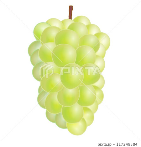 マスカットのイラスト 117248584