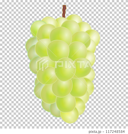 マスカットのイラスト 117248584