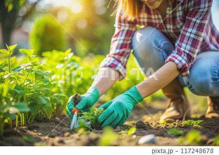 A young woman in jeans plants young shoots, flower seedlings,vegetables 117248678