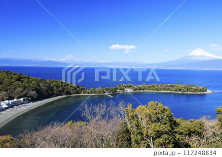 駿河湾越しに望む、冠雪した富士山の山 117248834