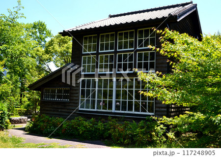 福岡県久留米市　石橋文化センター　坂本繁二郎旧アトリエ　春の景観 117248905