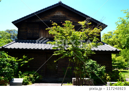 福岡県久留米市 石橋文化センター 坂本繁二郎旧アトリエ 春の景観 福岡県久留米市 石橋文化センター 坂本繁二郎旧アトリエ 春の景観 117248923
