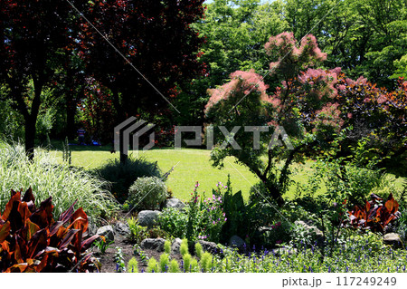 福岡県久留米市 石橋文化センター 春の庭の風景  福岡県久留米市 石橋文化センター 春の庭の風景  117249249