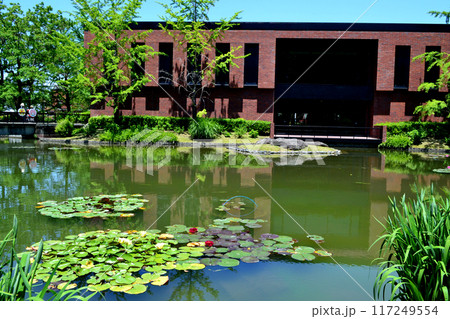 福岡県久留米市　石橋文化センター　春の庭の風景　久留米市美術館横の池のある風景 117249554