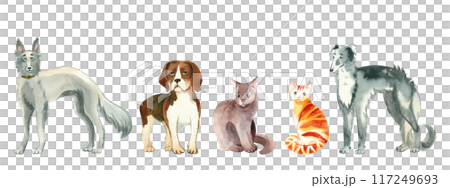 A set of watercolor illustrations. Pets, dogs of different breeds, beagle, greyhound, grey and red cat. All objects are hand-drawn with watercolors. Suitable for printing on fabric, paper, for books. 117249693