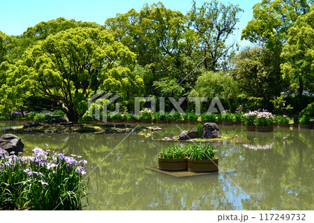 福岡県久留米市 石橋文化センター 春の庭の風景 花しょうぶ園 福岡県久留米市 石橋文化センター 春の庭の風景 花しょうぶ園 117249732
