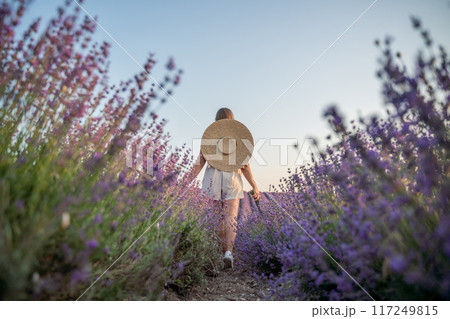 A woman is walking through a field of purple flowers with a straw hat on 117249815